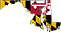 Maryland state flag